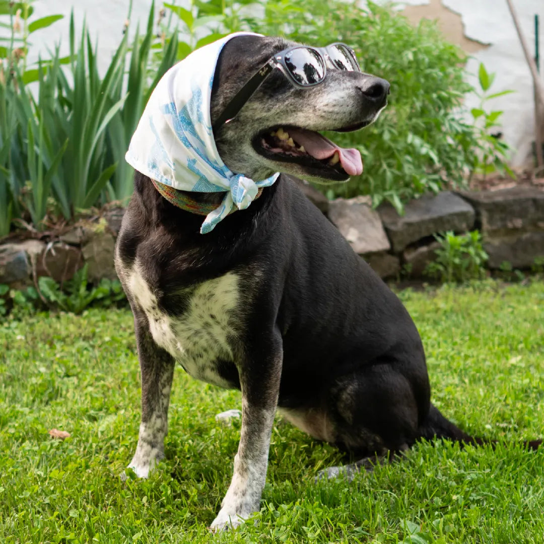 Llama Bandana