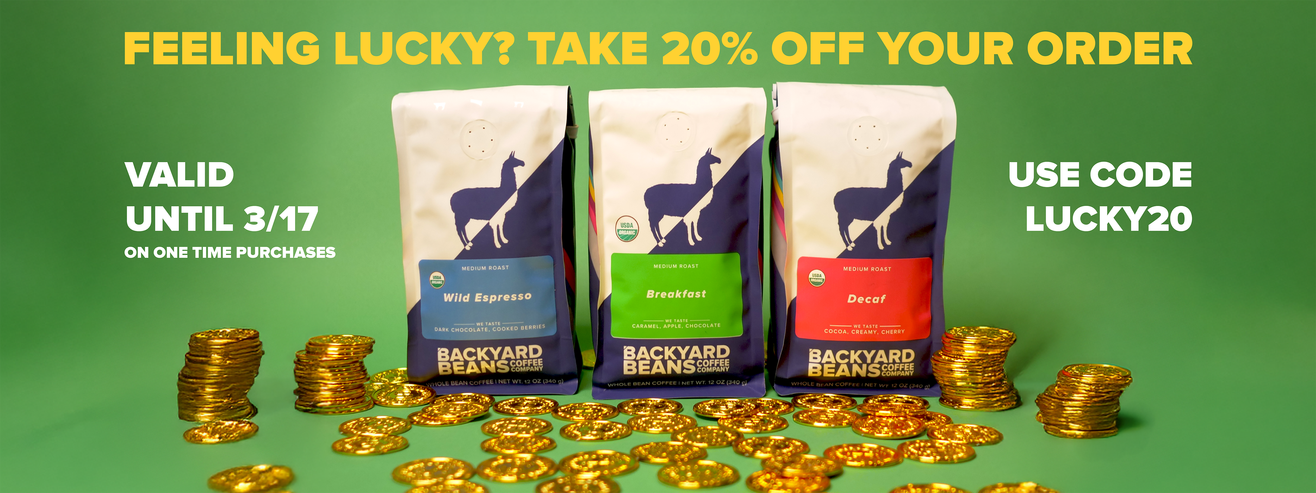 Graphic Image of Feeling Lucky 20% off Promo