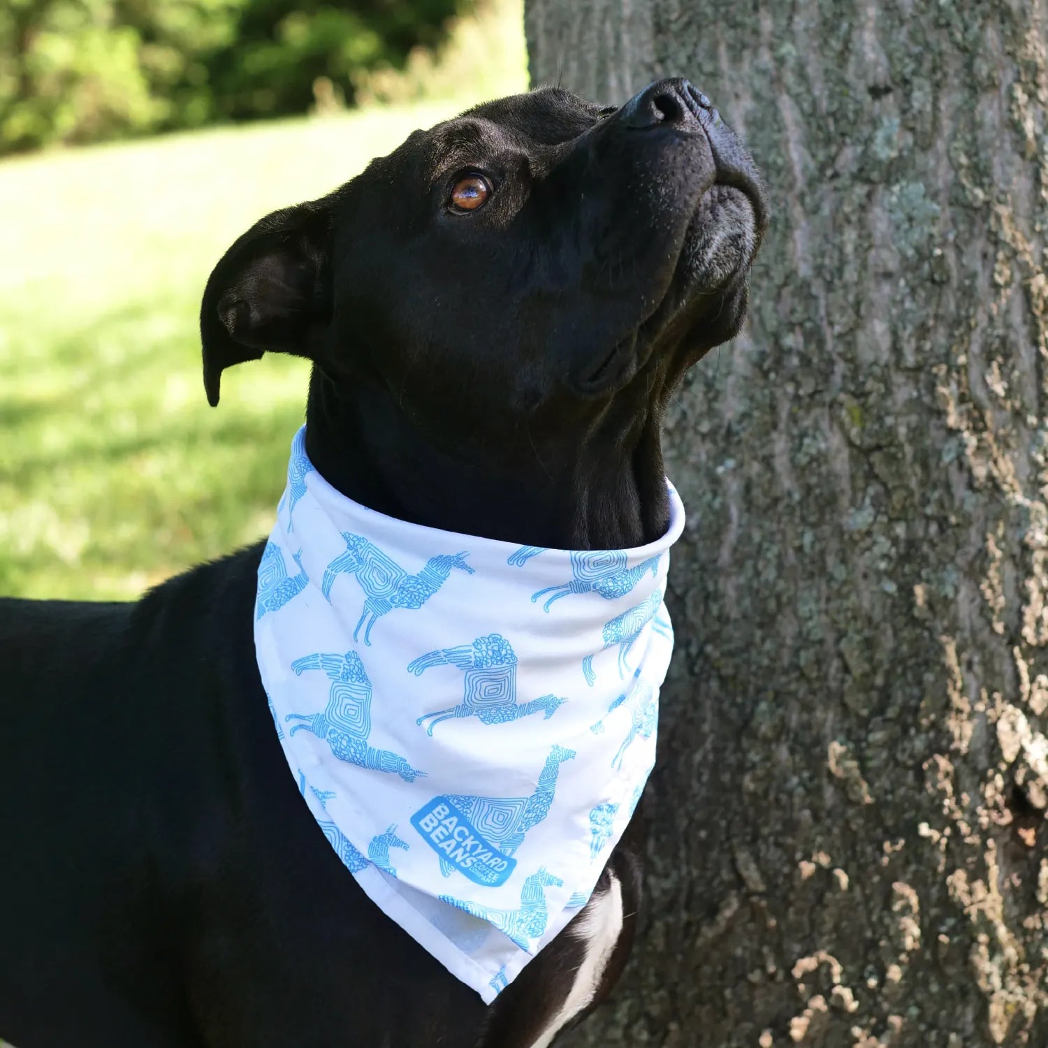 Llama Bandana