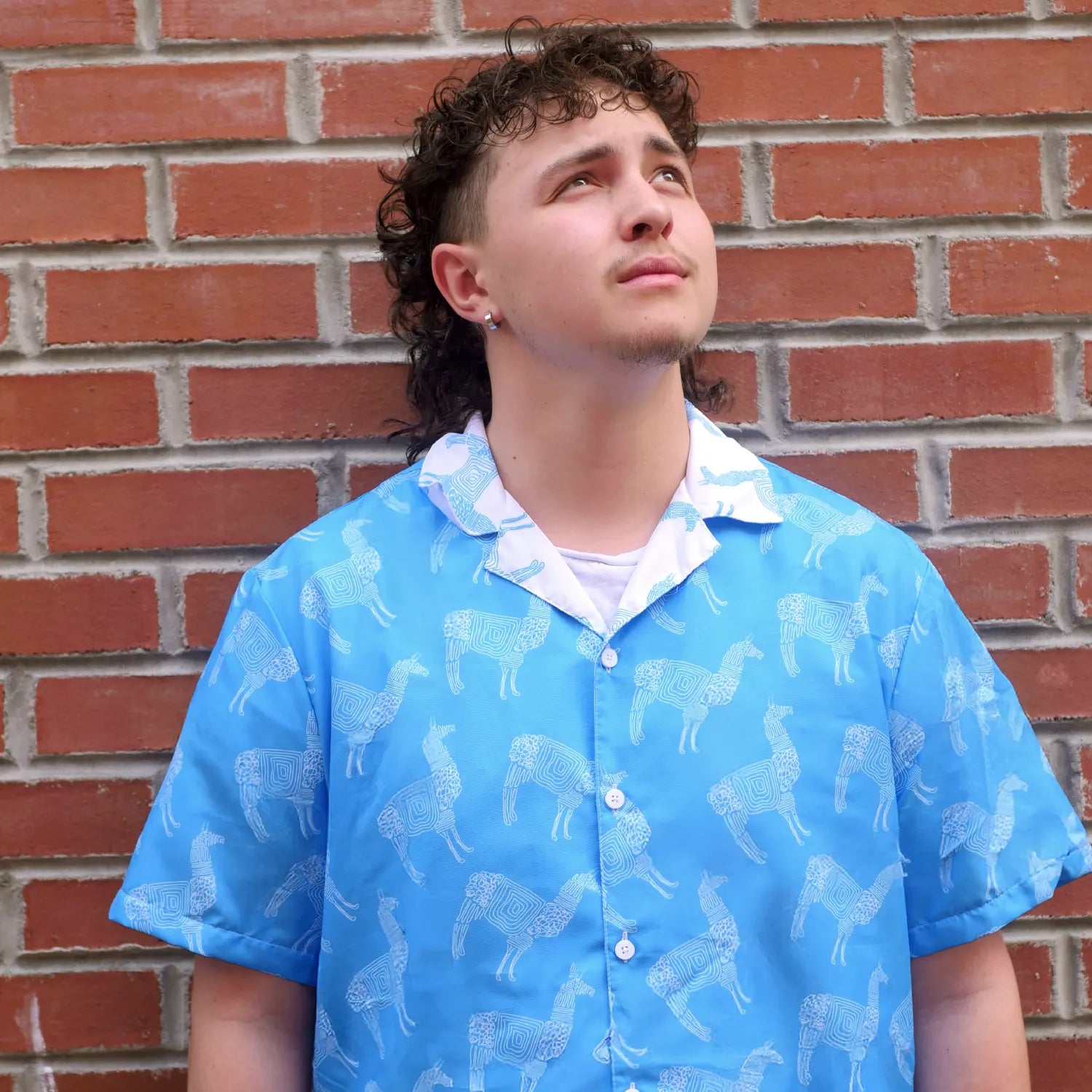 Llama Unisex Button Shirt